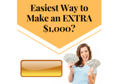 Daily Cash Flow System