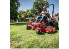 Maintain a Fresh and Inviting Landscape Throughout the Year