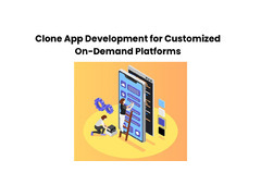 Clone App Development for Customized On-Demand Platforms