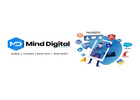 Professional E-commerce Website Development in USA
